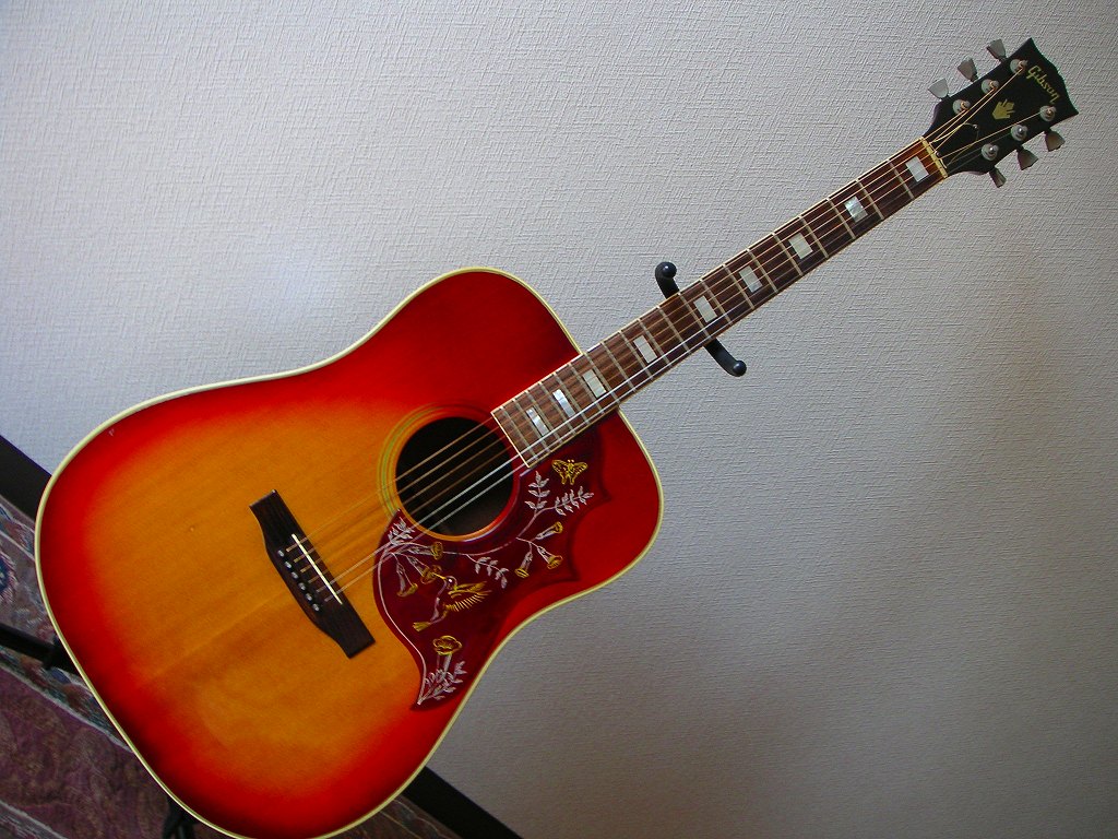 【激安大特価！】 Mansfield Guitars Model 370 ハミングバードギブソン（委託お ギター